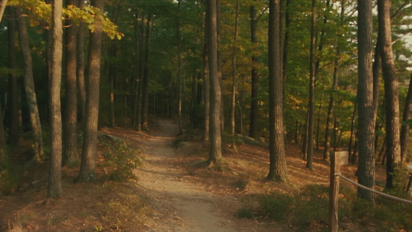 Still from Can You Swim?: the rocky ledge and the trail behind it, lit by low autumn sun